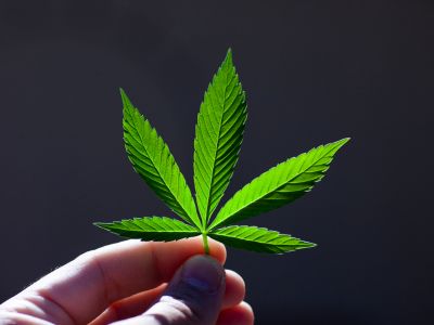 Sottovuoto e CBD: il segreto di qualità eccezionale