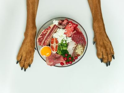 50 sfumature del sottovuoto: Pet Food