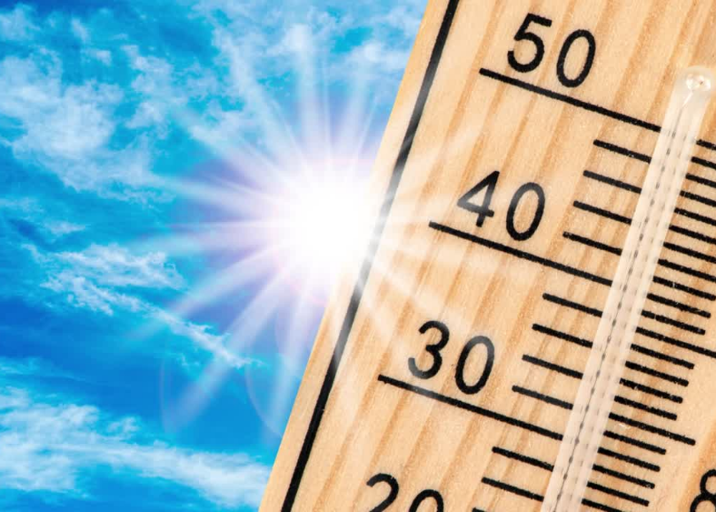 Ristoranti e sottovuoto durante la stagione calda